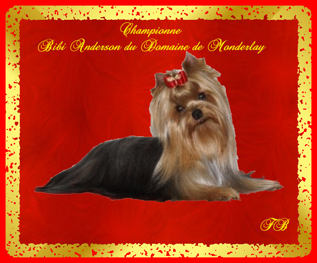 CH. Bibi anderson Du domaine de monderlay