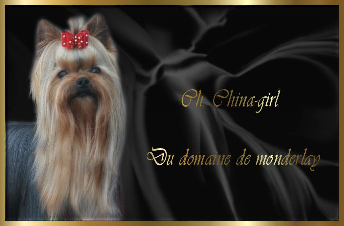 CH. China-girl Du domaine de monderlay